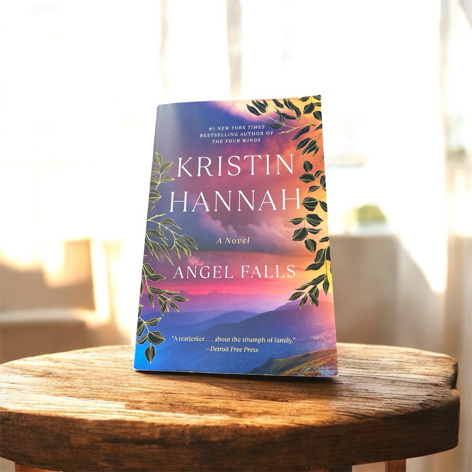 Angel Falls: A Novel