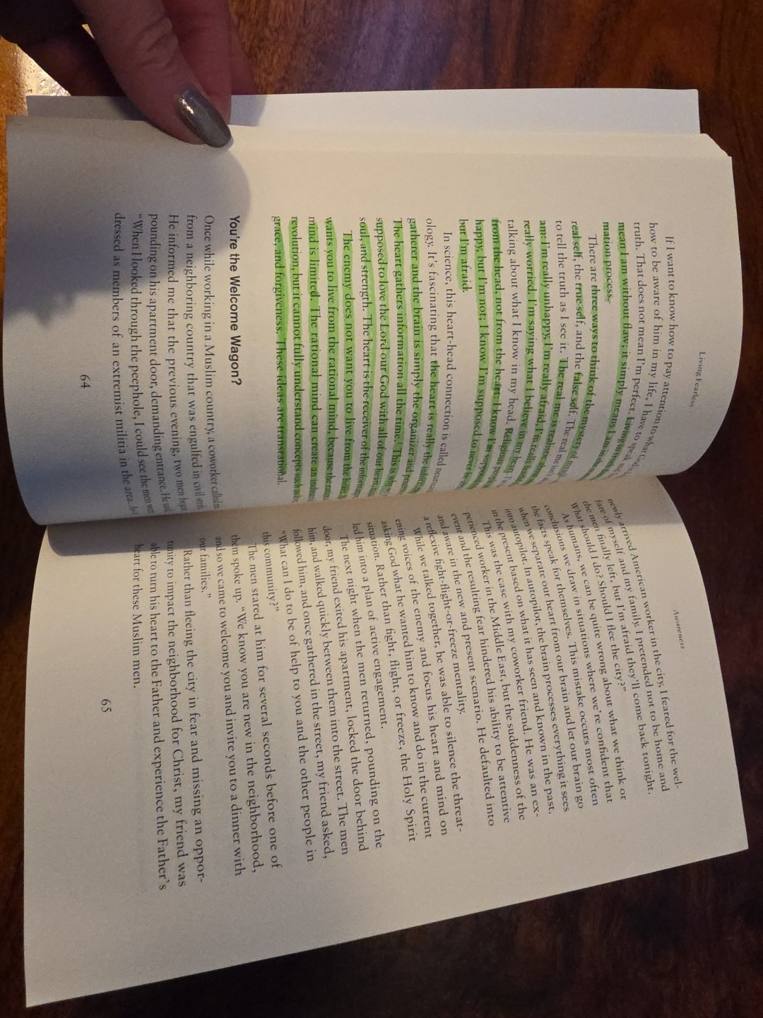 Living Fearless: Exchanging The Lies Of The World For The Liberating Truth 2022