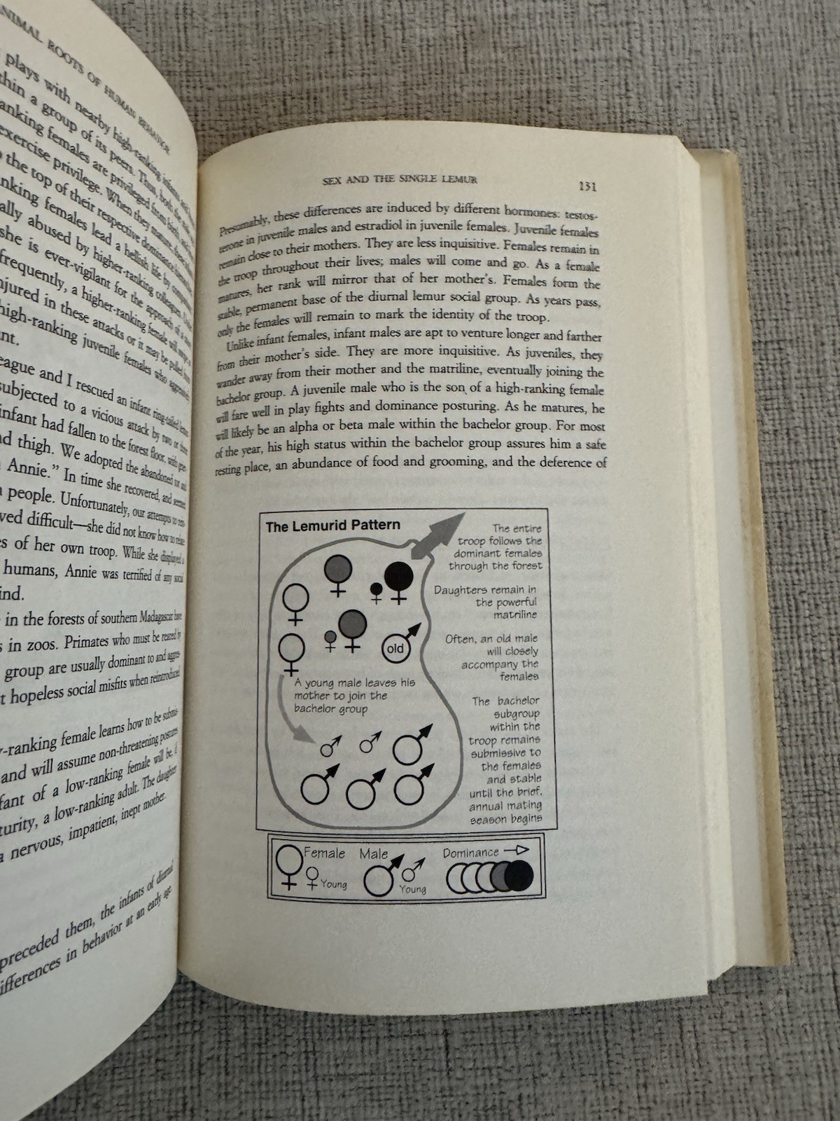 The Lemurs’ Legacy Robert Jay Russell 1993 HC DJ Evolution Power Sex Love