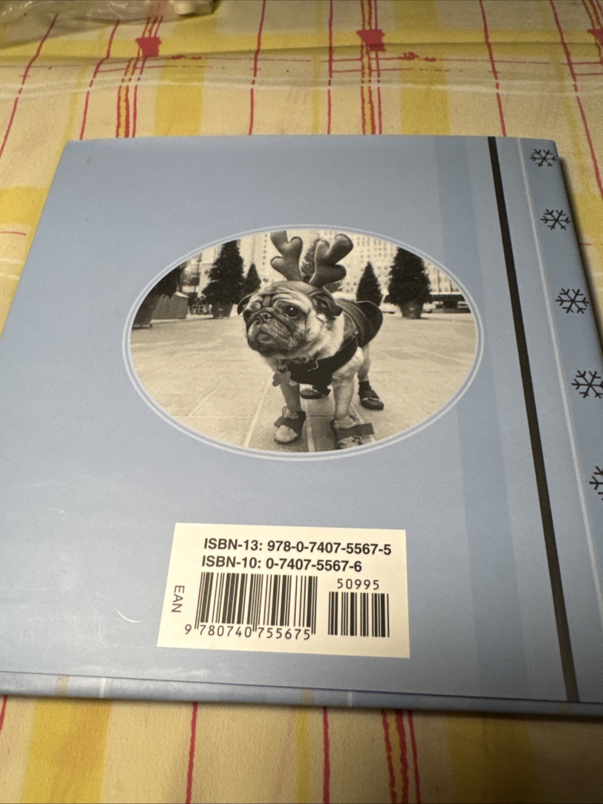 HOUND FOR THE HOLIDAYS: A BARK AND SMILE BOOK (BARK & By Kim Levin – Autographed