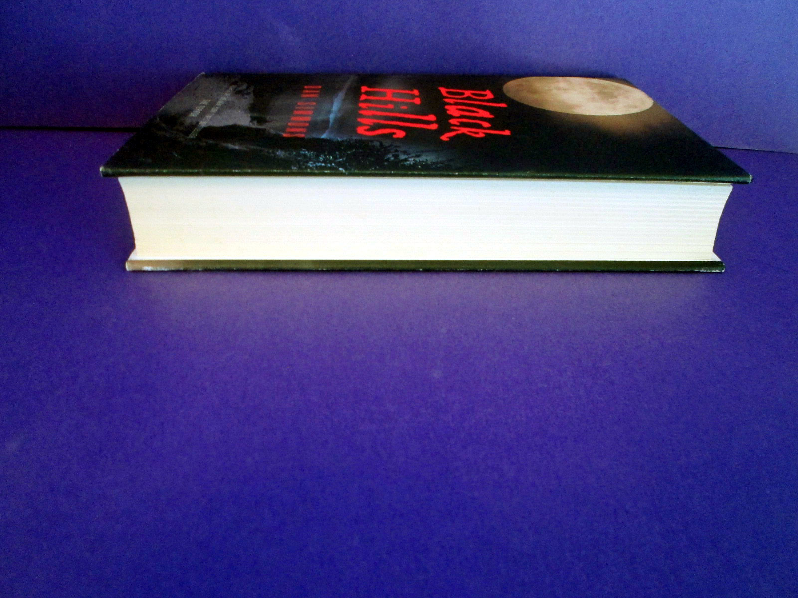 Black Hills by Dan Simmons 1st Edition/1st Print HCDJ HORROR!