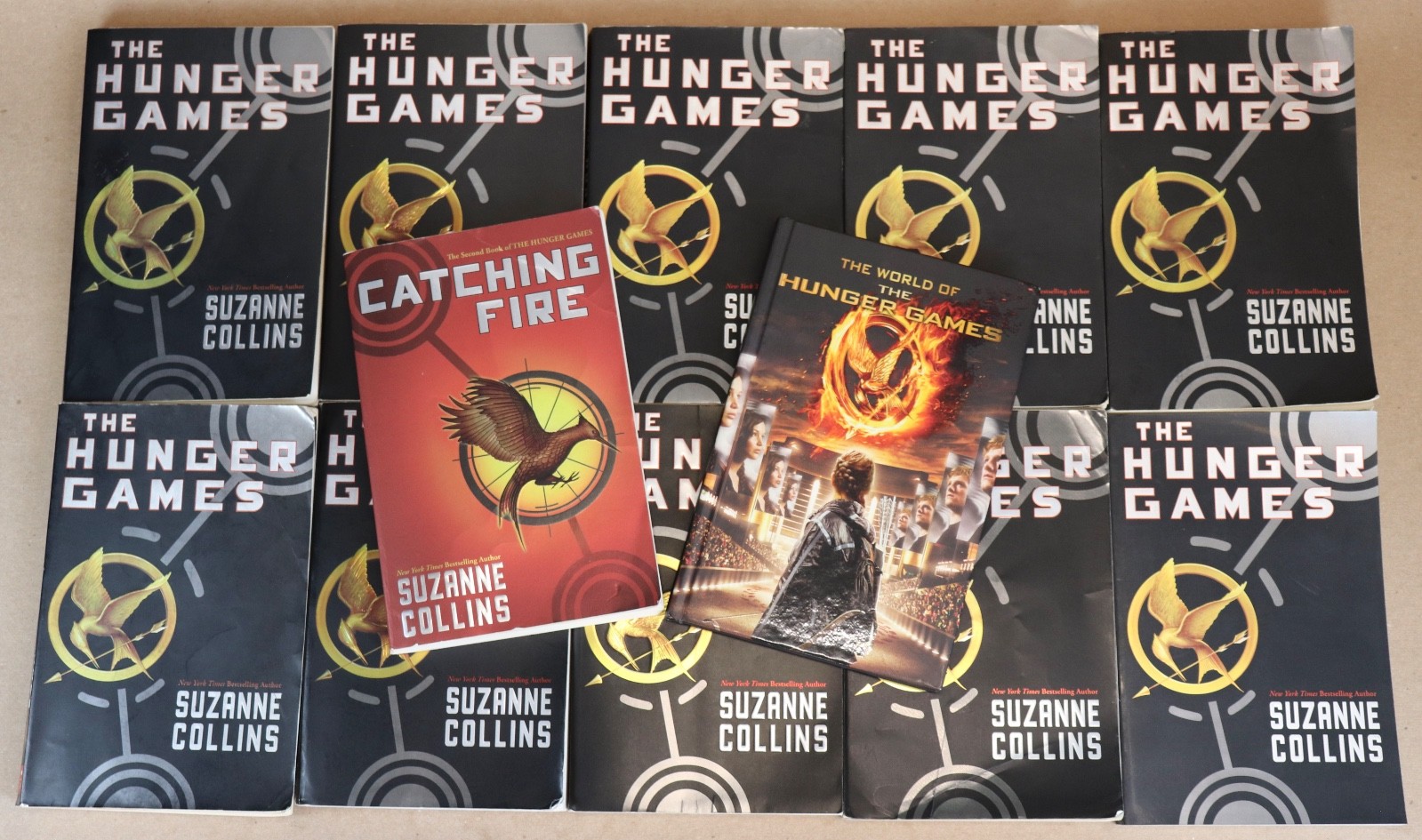 10 THE HUNGER GAMES by Suzanne Collins GUIDED READING Teachers Set + Extras