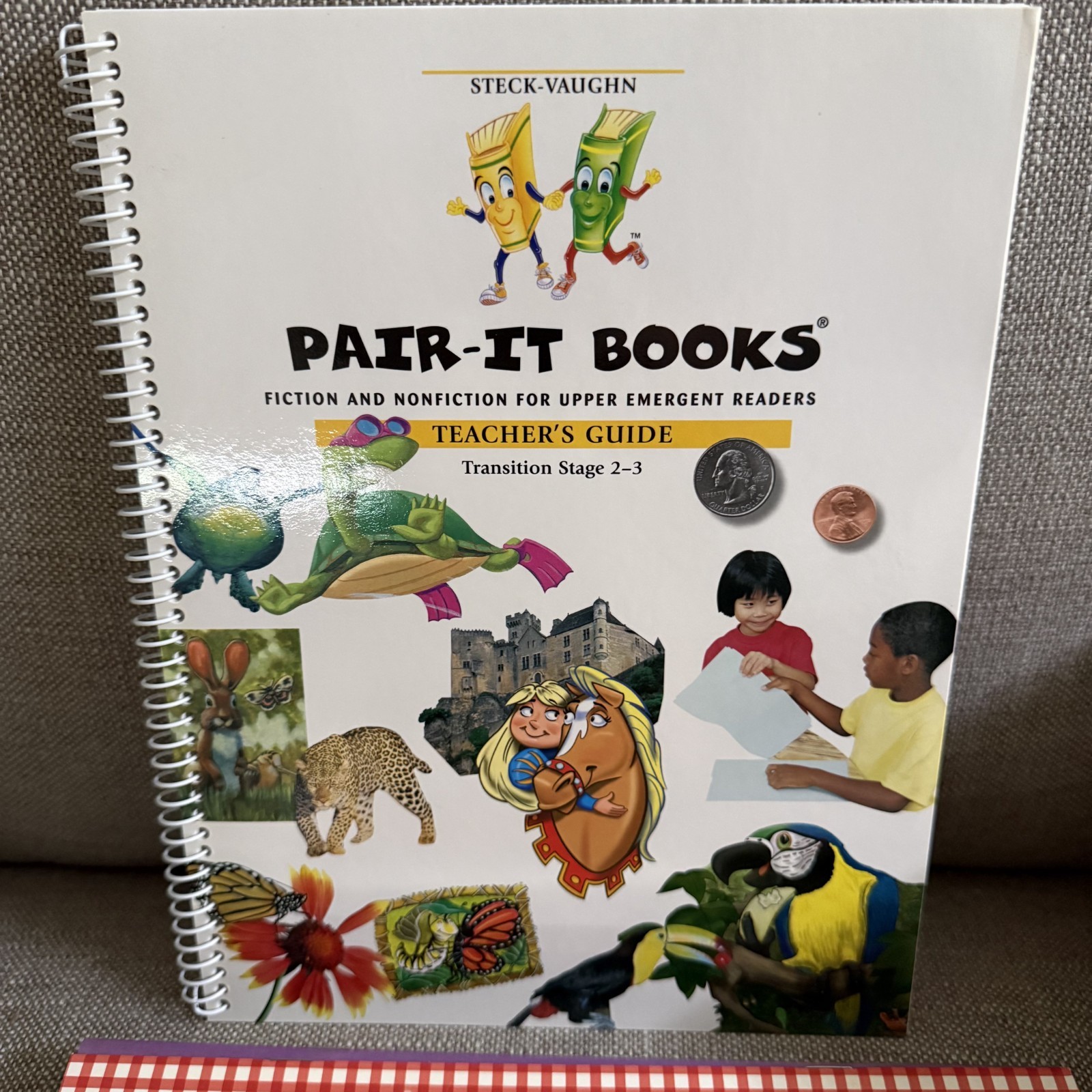 Steck Vaughn Transition Stage Classroom 2-3 Kit Teacher Guide 20 Books