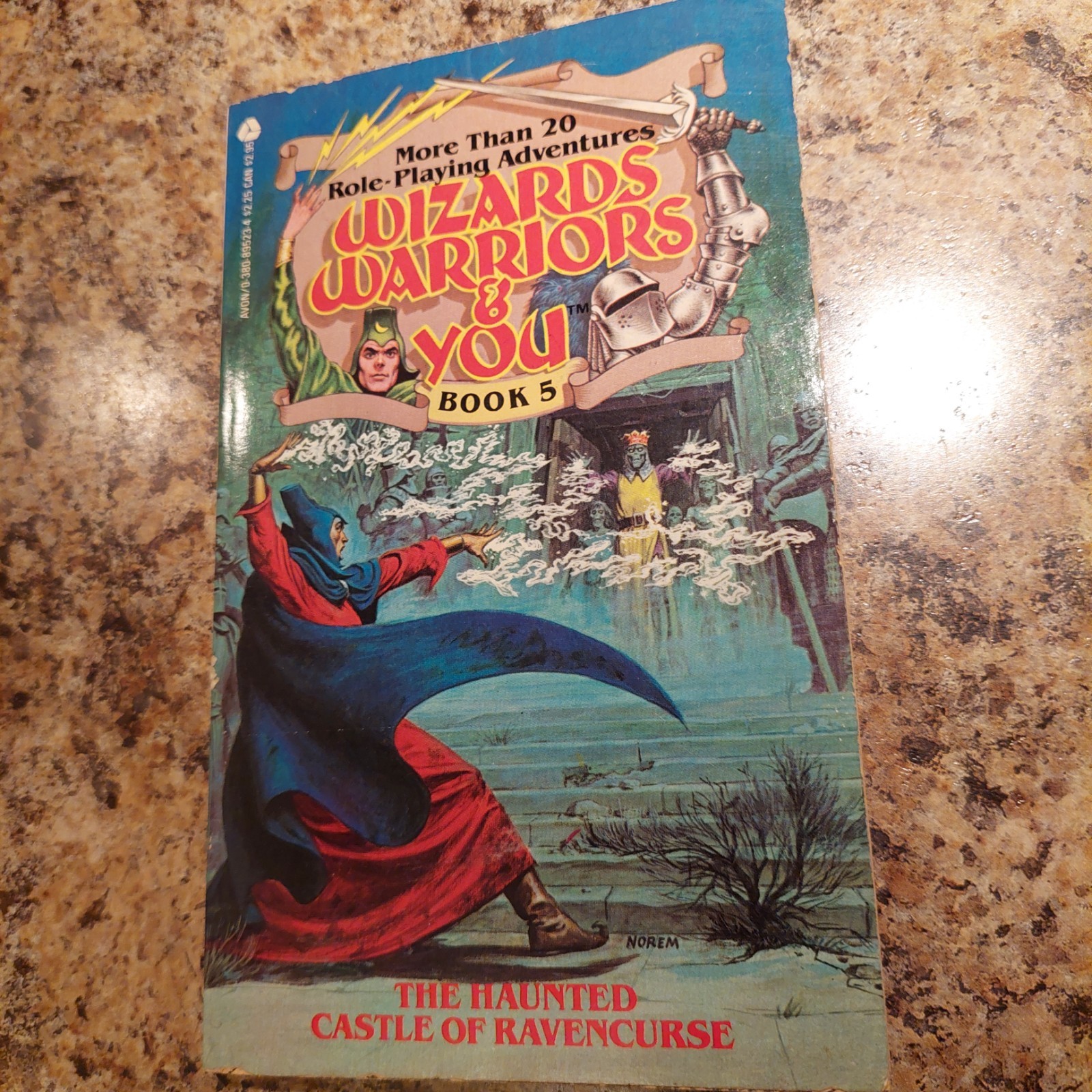 Wizards, Warriors & You #5 The Haunted Castle of Ravencurse CYOA Gamebook 1985