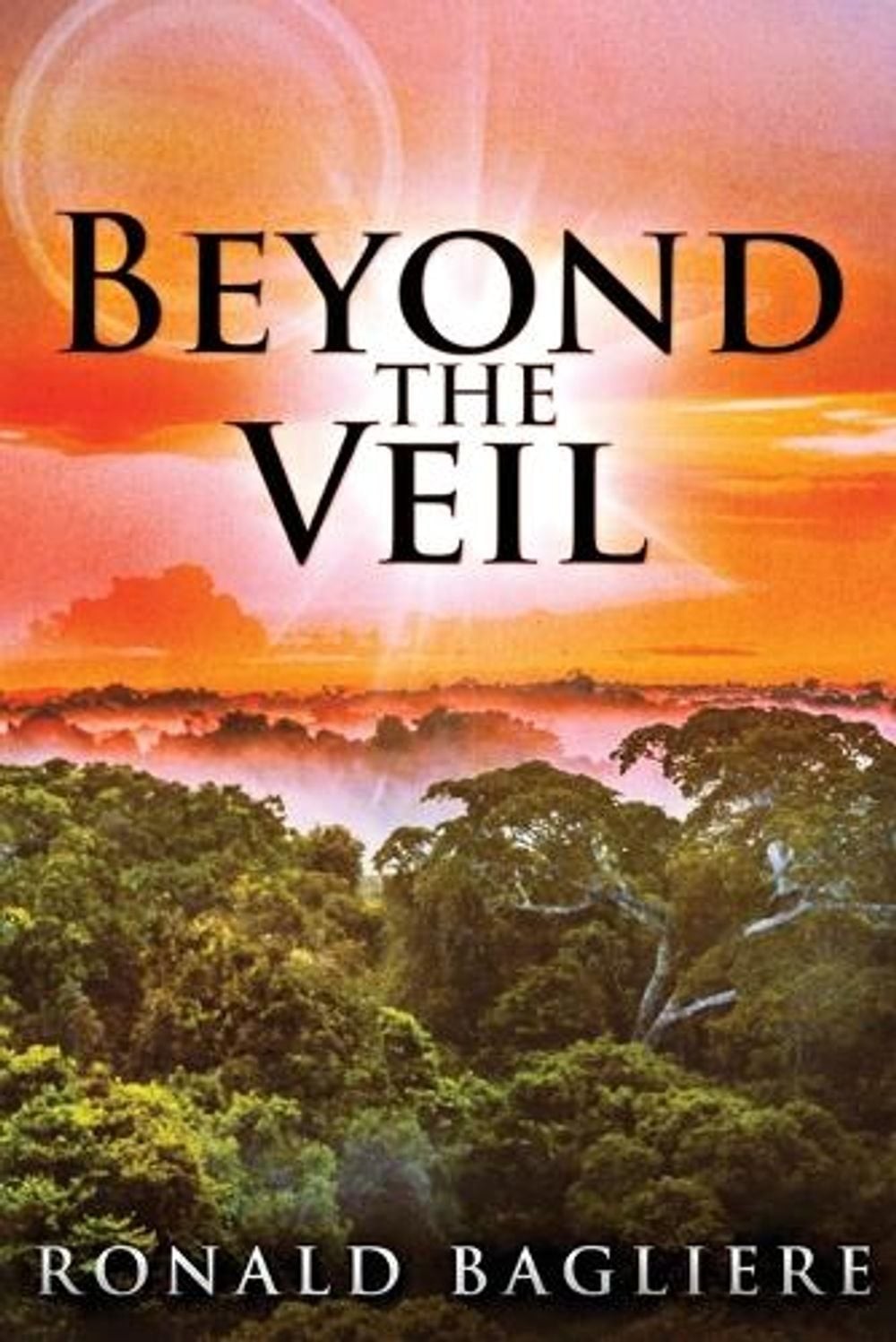 Beyond the Veil by Ronald Bagliere Paperback Book