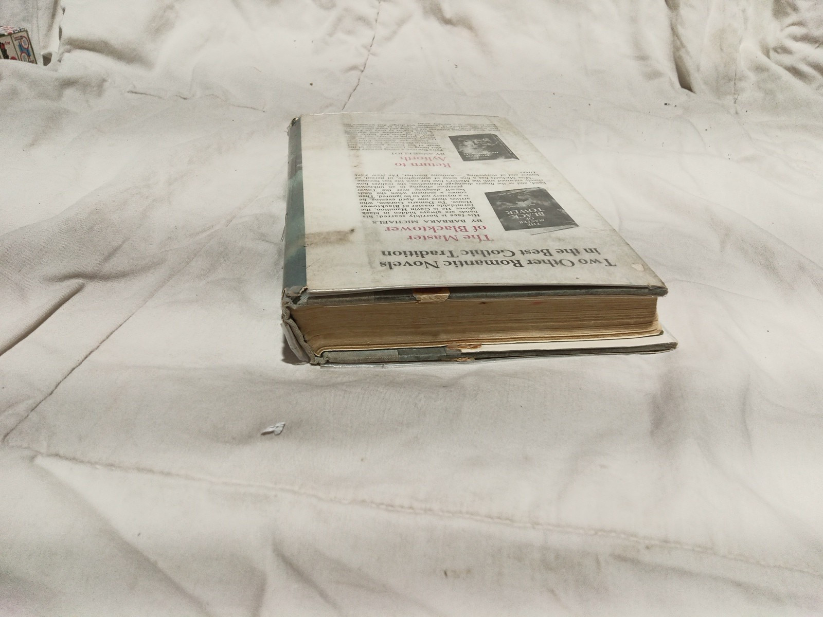 Sons of the Wolf by Barbara Michaels First Edition HC w DJ 1st Printing