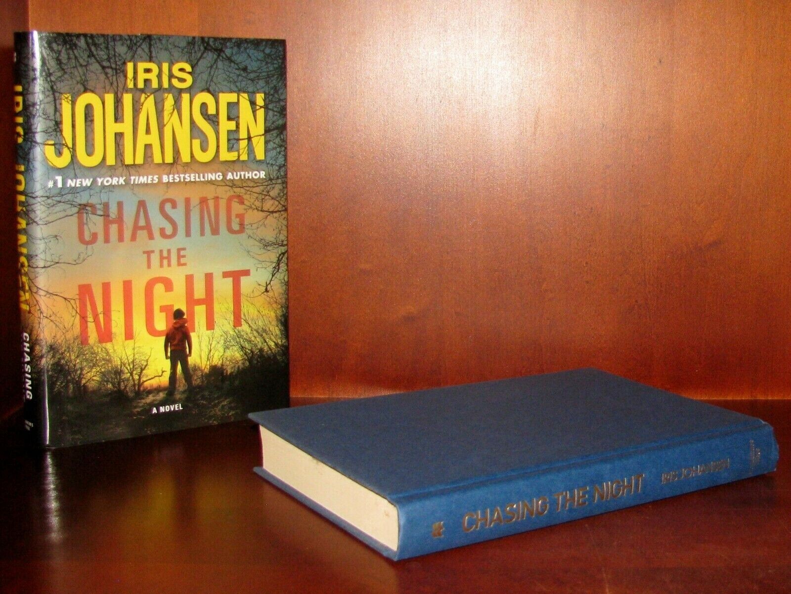Chasing the Night Iris Johansen 1st Ed HC Eve Duncan Thriller