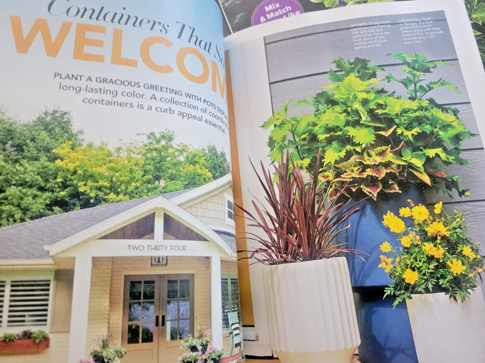 Container Gardening by BH&G – 100 Easy-Care Combos for Sun or Shade- Like A Pro