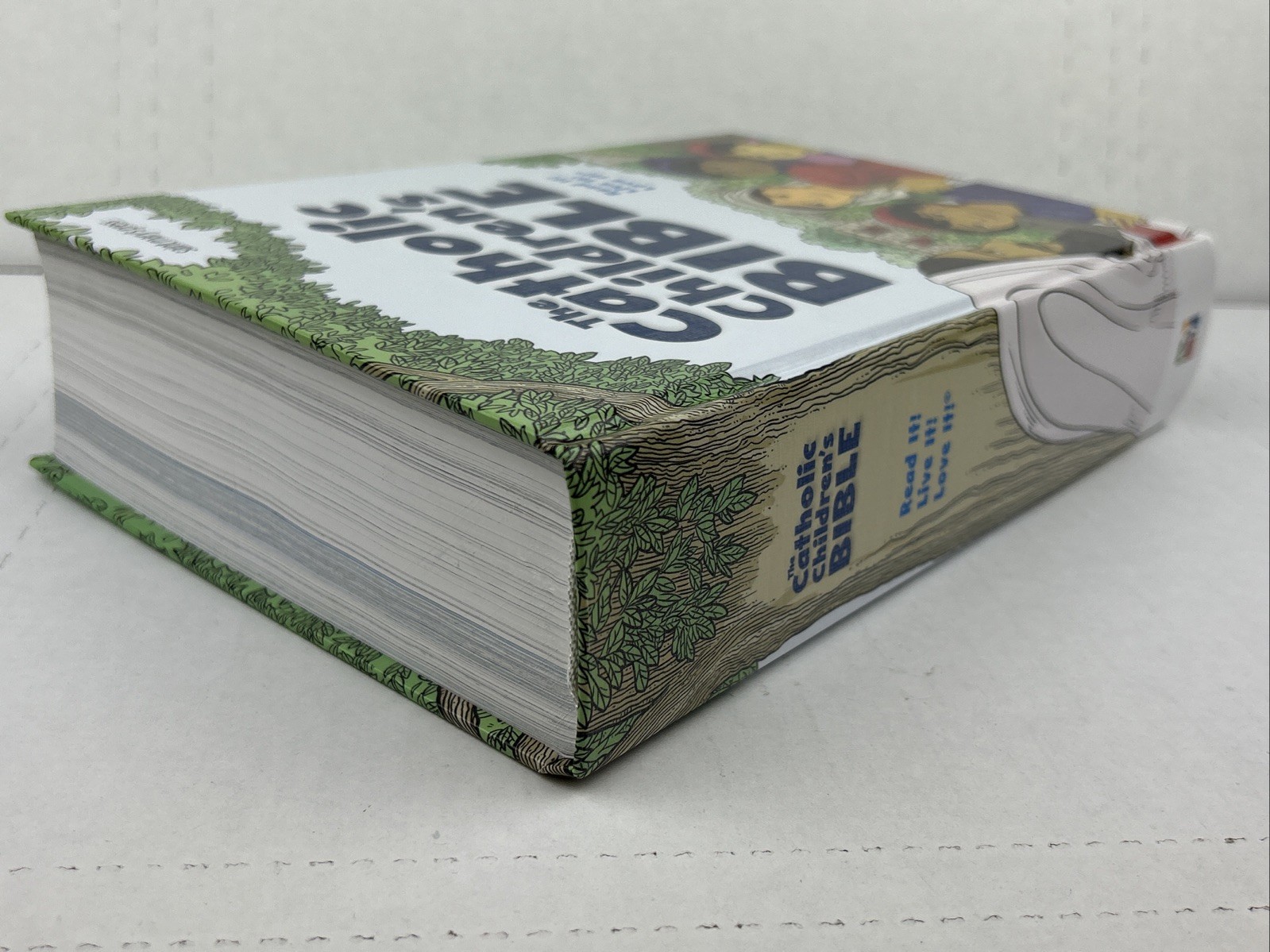 The Catholic Children’s Bible, Revised Saint Mary’s Press Hardcover