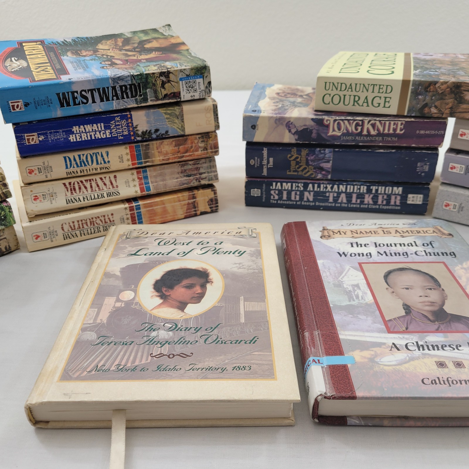 LOT OF 19 BOOKS RARE Dana Fuller Ross Terry C Johnston James Thom 17 PB 2 HB VTG
