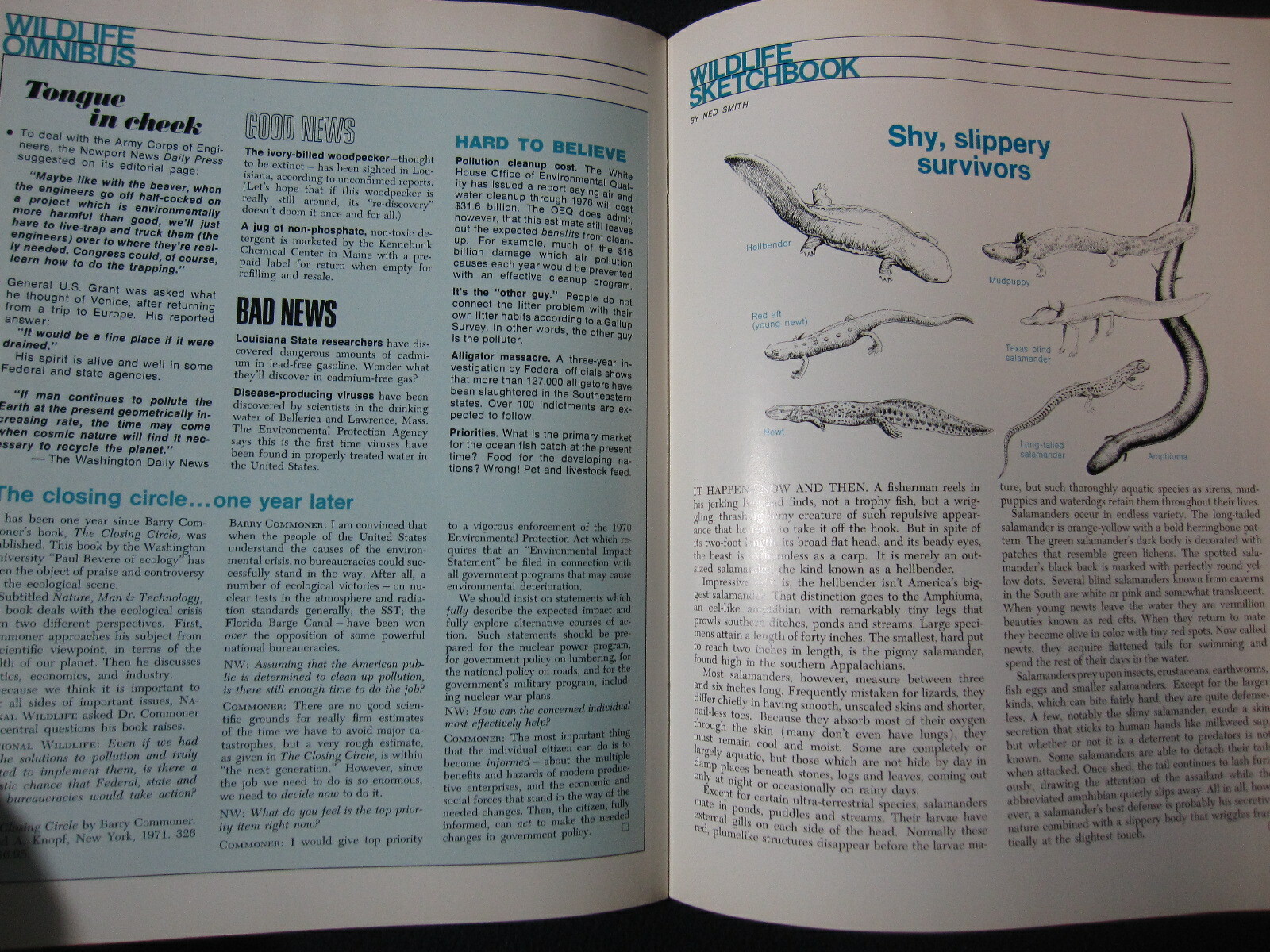 National Wildlife Magazine August/September 1972 [Single Issue Magazine] Natio..