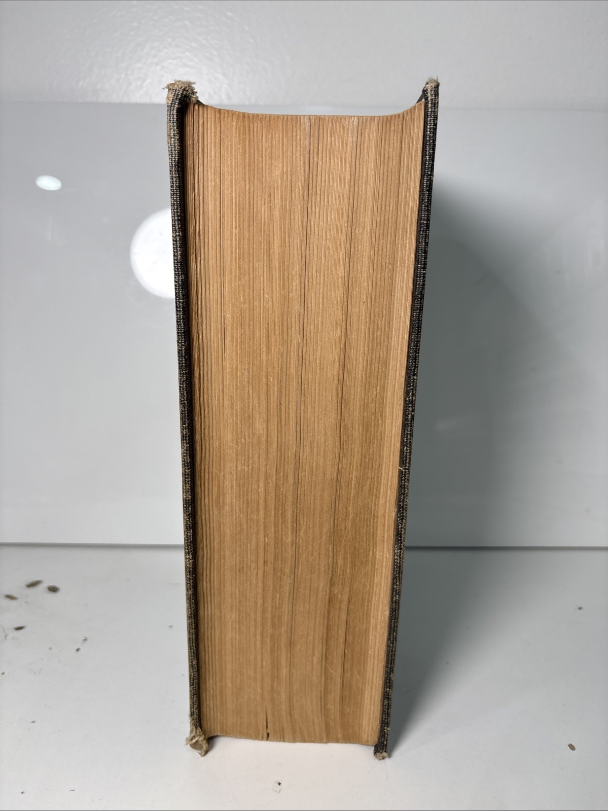 THE NEWBERRY STUDY BIBLE by THOMAS NEWBERRY LARGE-TYPE REFERENCE EDITION 1960