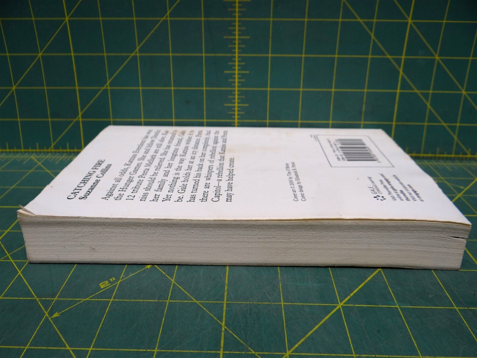 Catching Fire Suzanne Collins 2012 Hunger Games Book 2 Large Print Paperback