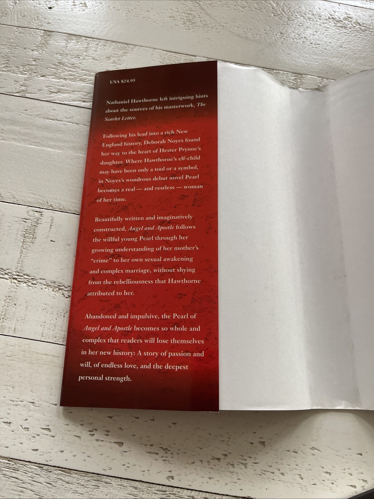 Angel and Apostle – Hardcover By Noyes, Deborah SIGNED COPY 1st Edition Printing