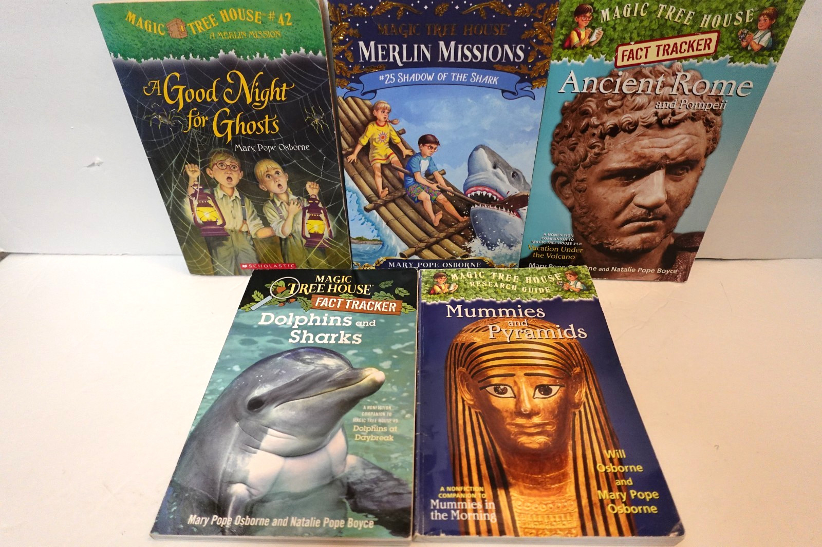 Magic Tree House book collection (kid’s paperback book series)