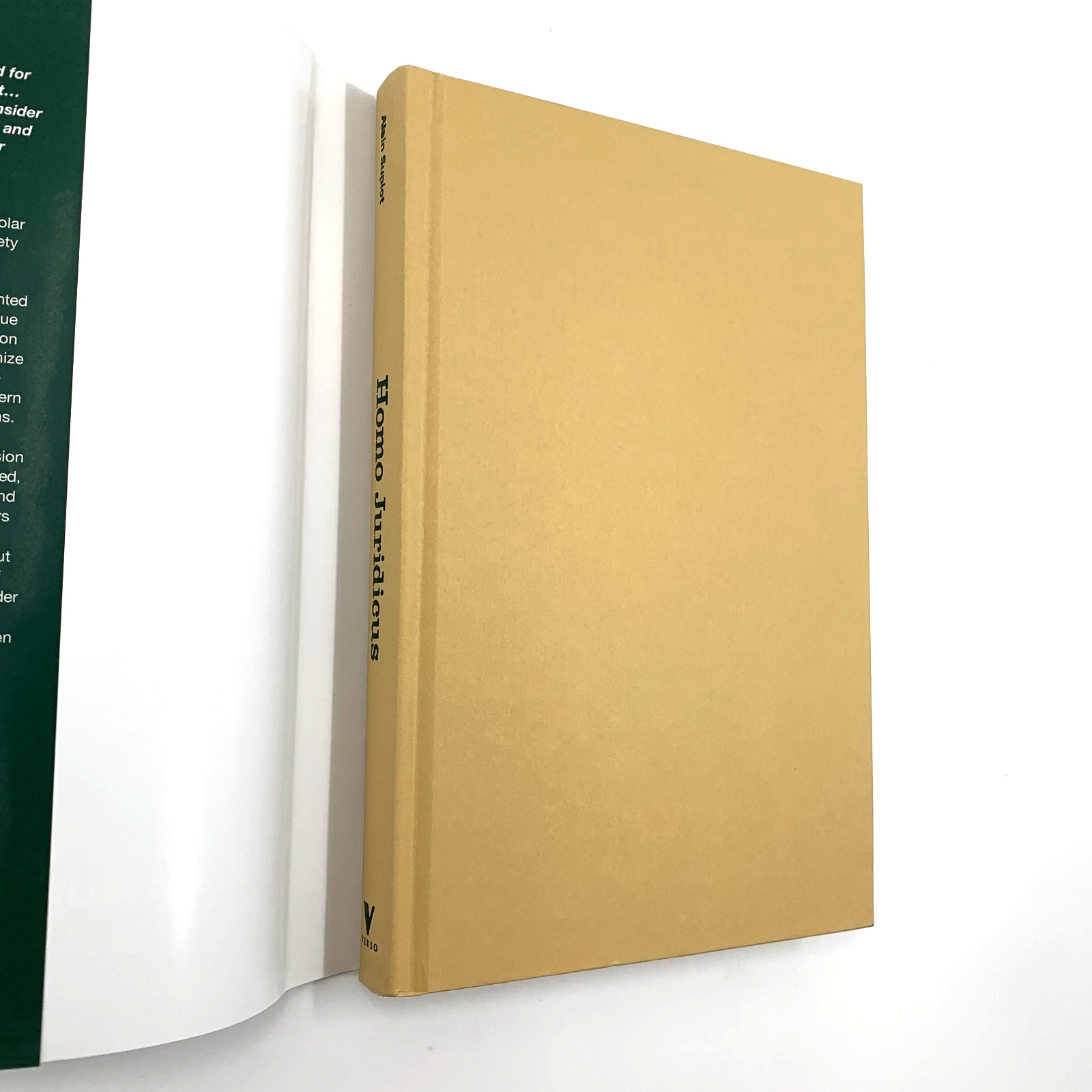 Homo Juridicus – On the Anthropological Function of the Law – by Alain Supiot HC