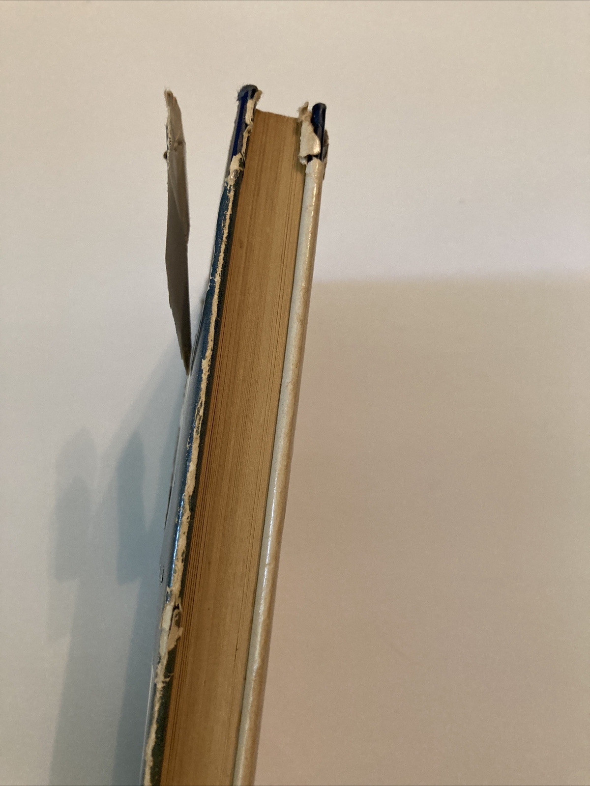 The Power of a Purpose Nenien McPherson Jr 1959 Hardcover Dust Jacket