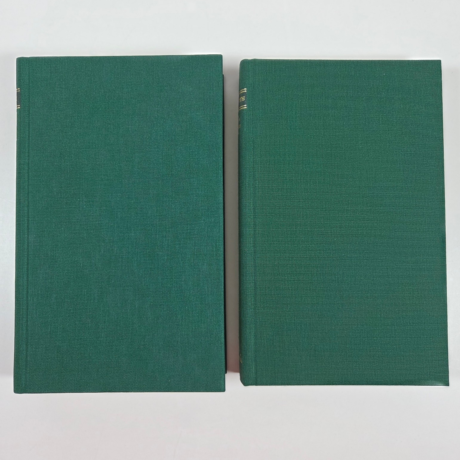 Philip Roth Collected Nonfiction 1960-2013 Nemesis 2006-2010 LOA #s 237 and 300