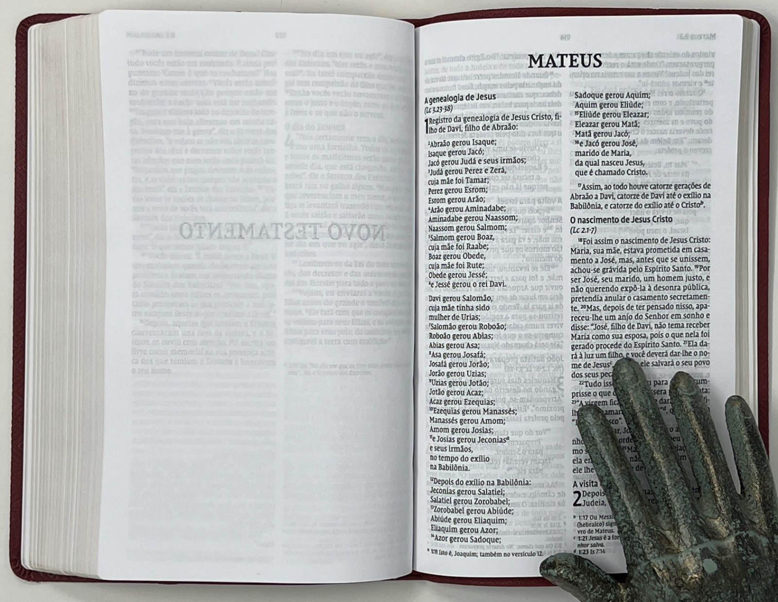 SPANISH BIBLE / RELIGION: Biblia Sagrada: NVI – 2011 SC Pub. by Thomas Nelson