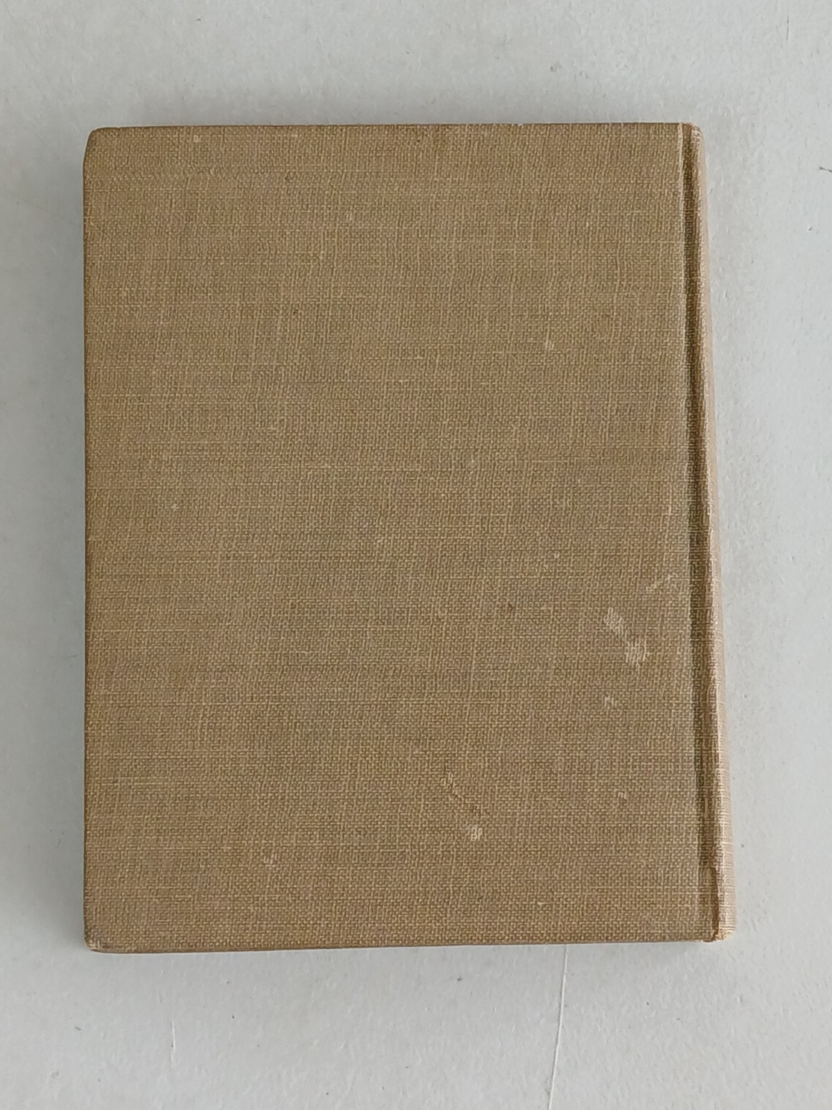 The Modern Reader’s Bible THE PSALMS & LAMENTATIONS 2nd Volume Antique Book 1913