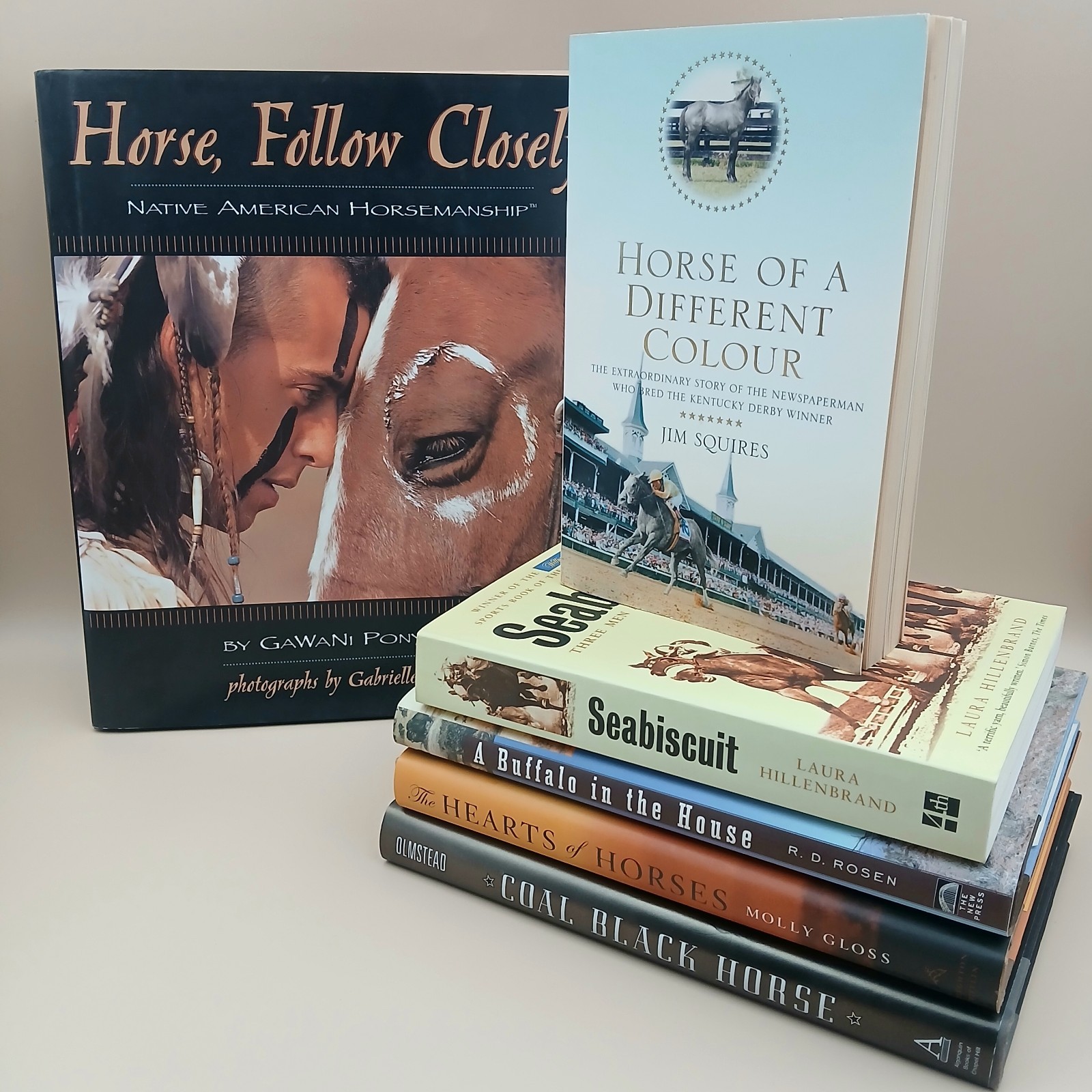 Horse Book Lot of 6 Seabiscuit Hillenbrand Horsemanship Fiction Clean