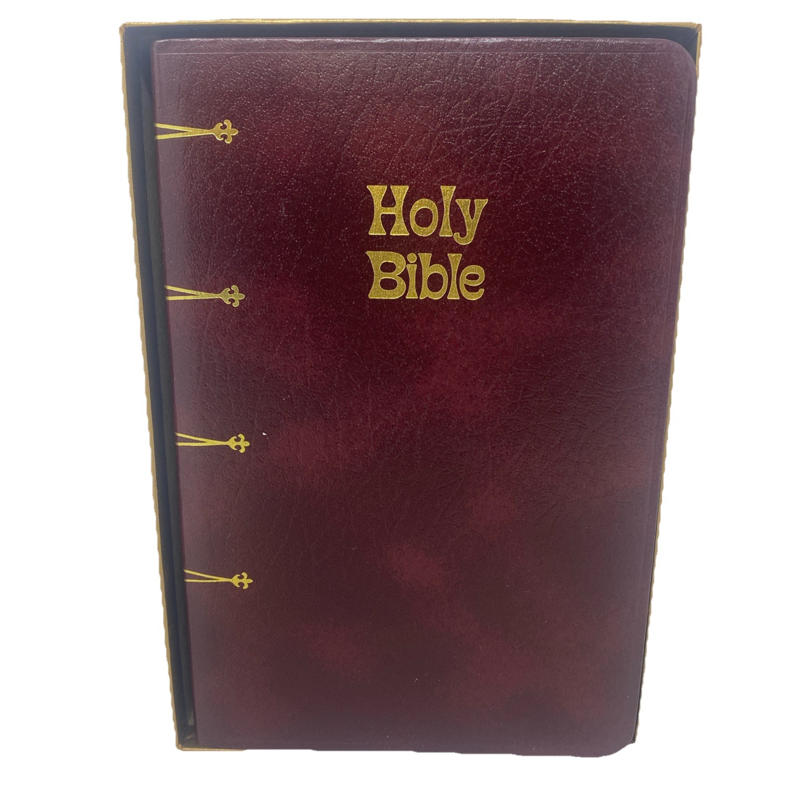 Catholic Gift And Study Bible Catholic Bible Press In Box