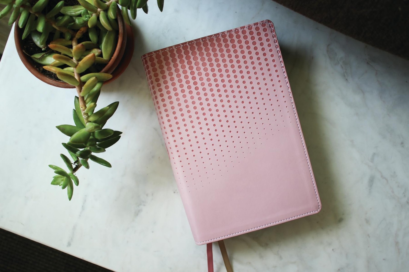 NASB, Clear Focus Bible, Leathersoft, Pink: Read more of the Bible with…