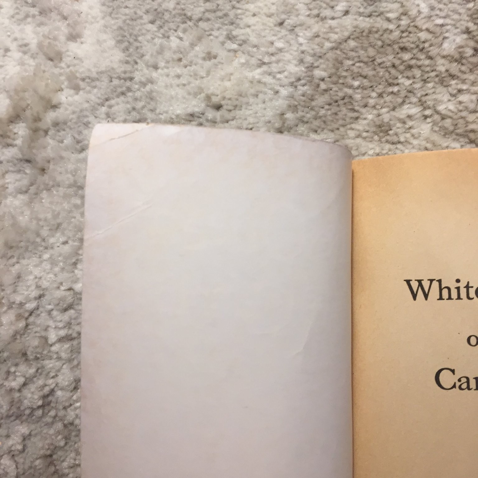 White Queen of the Cannibals A.J. Bueltmann Moody Press Classic Biography