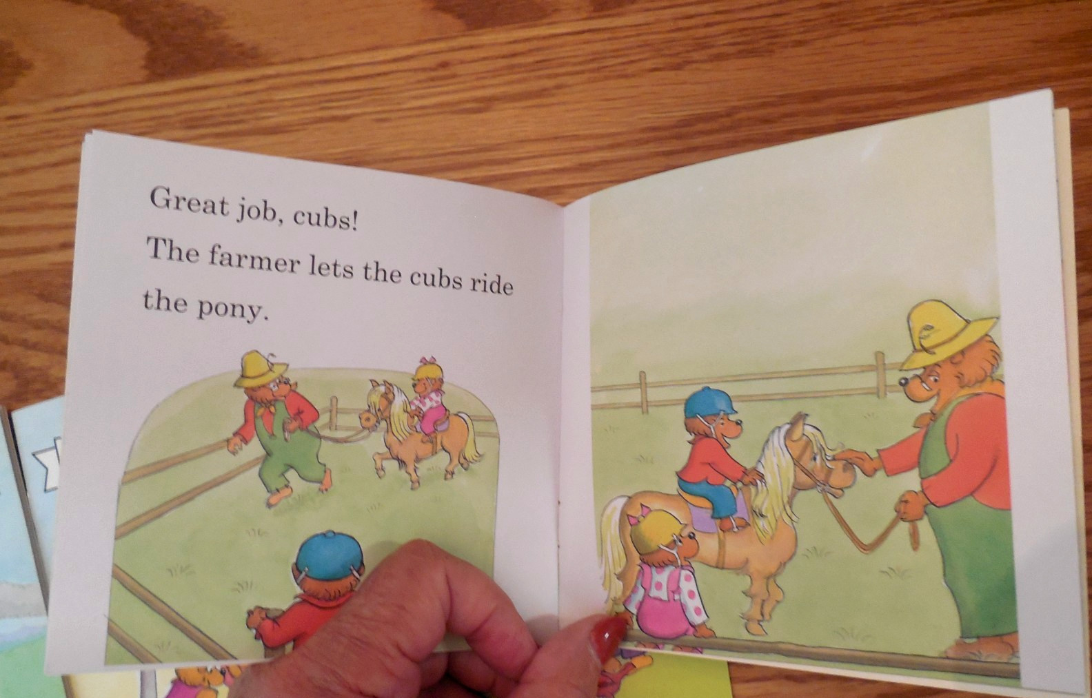 NEW I Can Read Phonics “The Berenstain Bears” 11 Books: #1-4 & #6-12 (Vowels)
