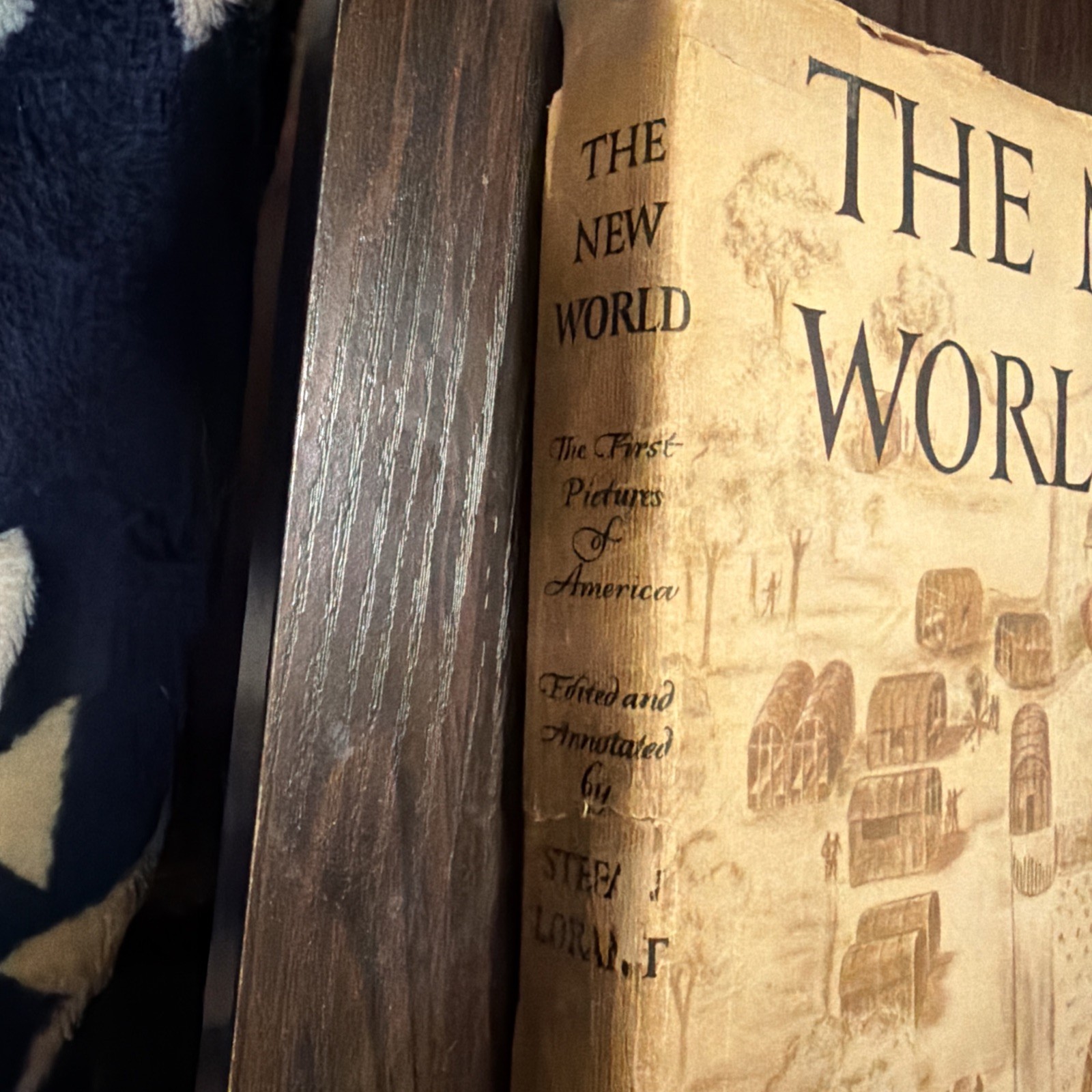 The New World The First Pictures Of America Stefan Lorant 1965 First Edition