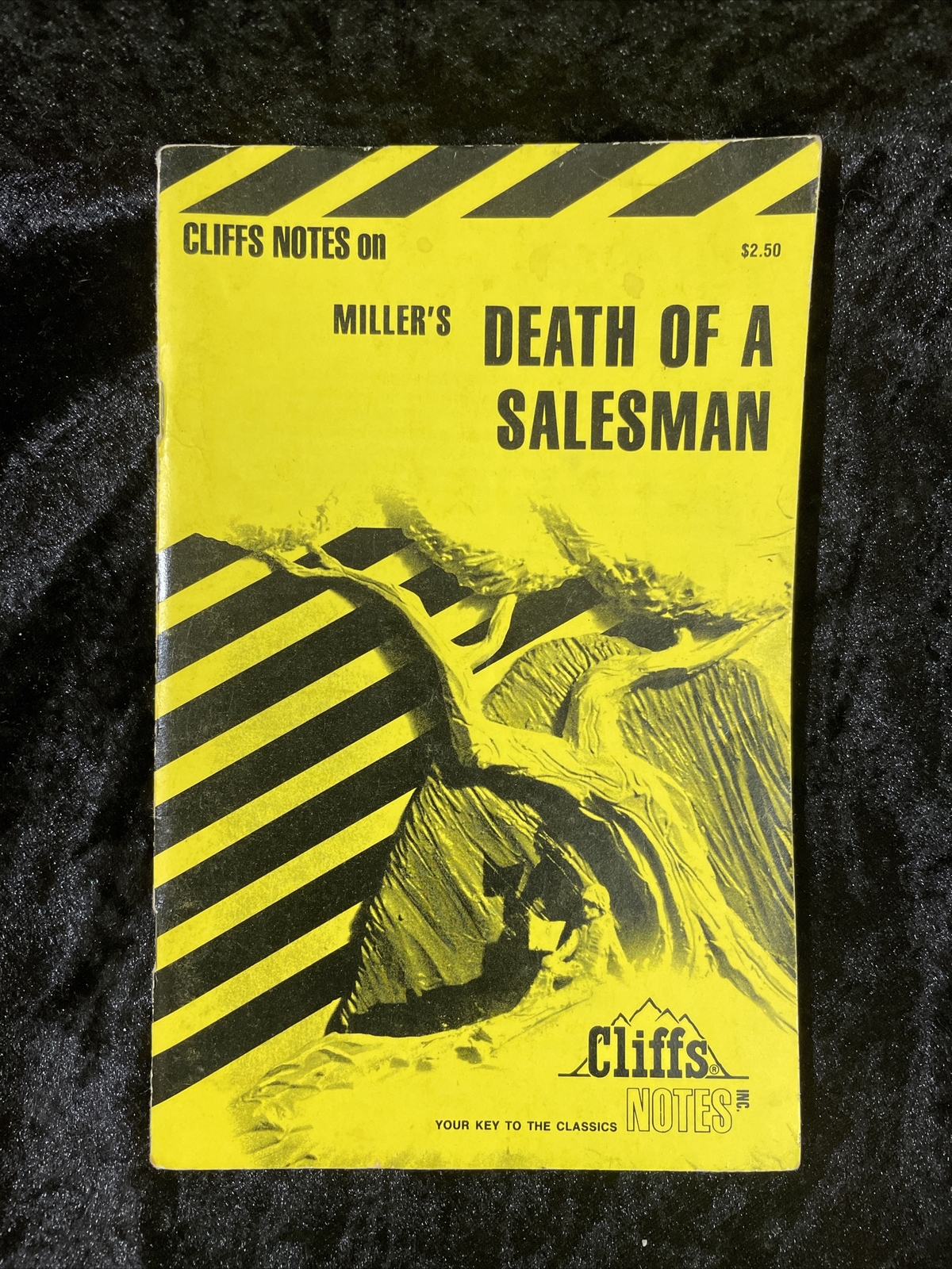 CliffsNotes – Select from several titles – volume discount – Atlas Shrugged &