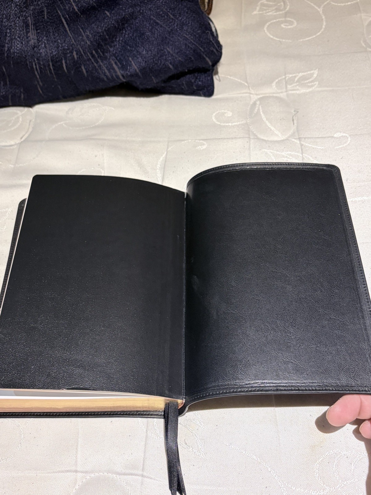 bible study books