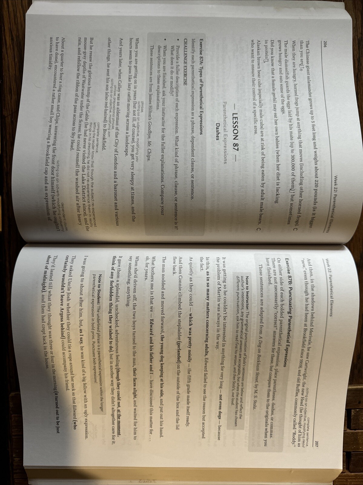 Well-Trained Mind Press Grammar for the Well-Trained Mind Red Workbook Key