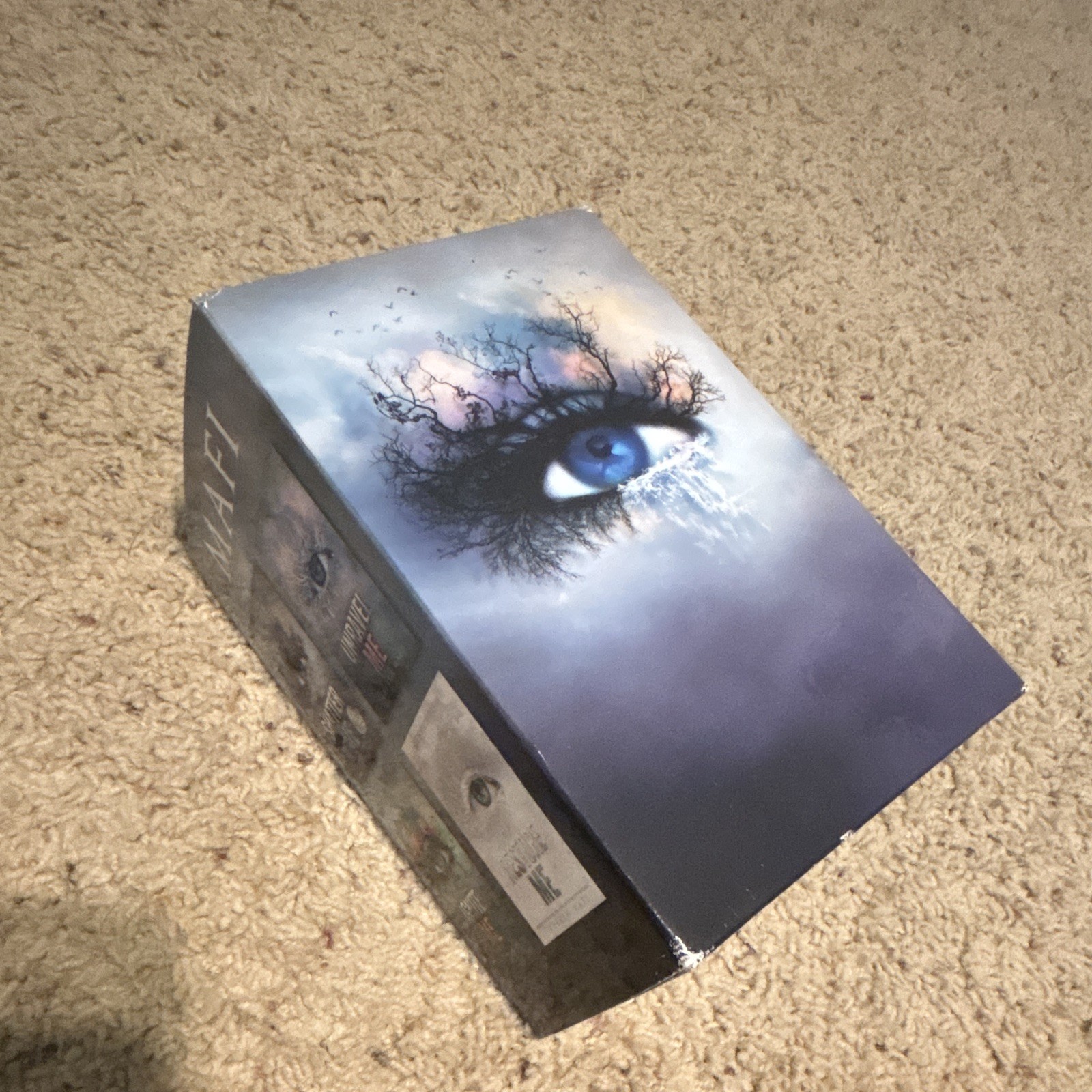 Tahereh Mafi Shatter Me Series 4-Book Box Set: Shatter/Unravel/Ignite/Restore
