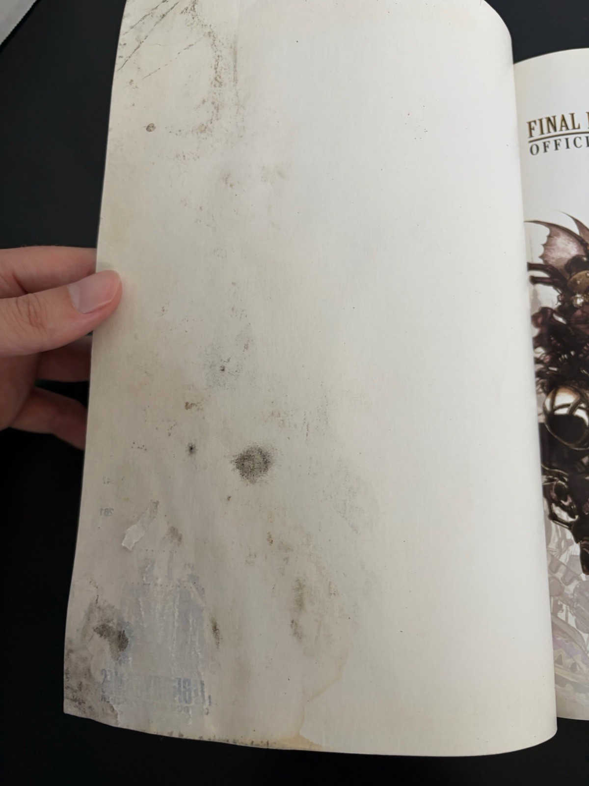 Final Fantasy Anthology Walkthrough Brady Games Strategy Guide Water Damage