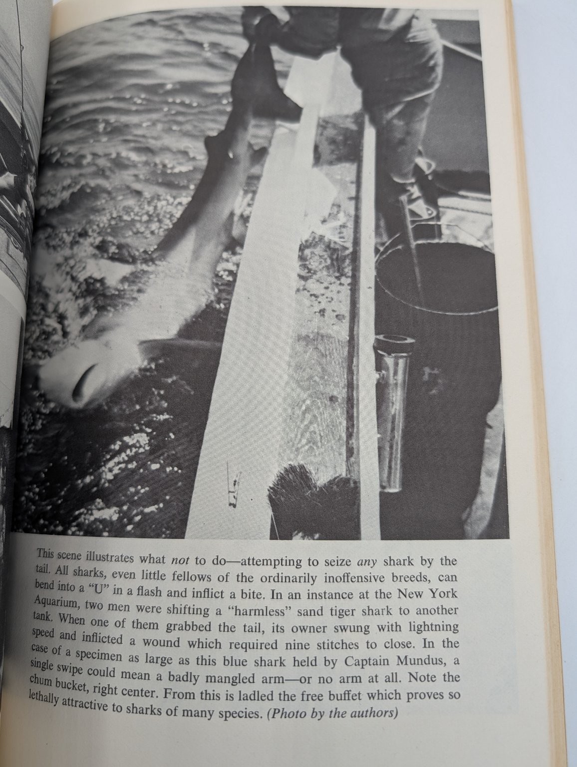 Sportfishing for Sharks Mundus Wisner 1976 Paperback Fishing Marine Life