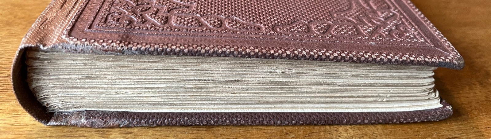 Honey Blossoms for Little Bees 1859 Victorian Decorative Binding Antique 1st Ed