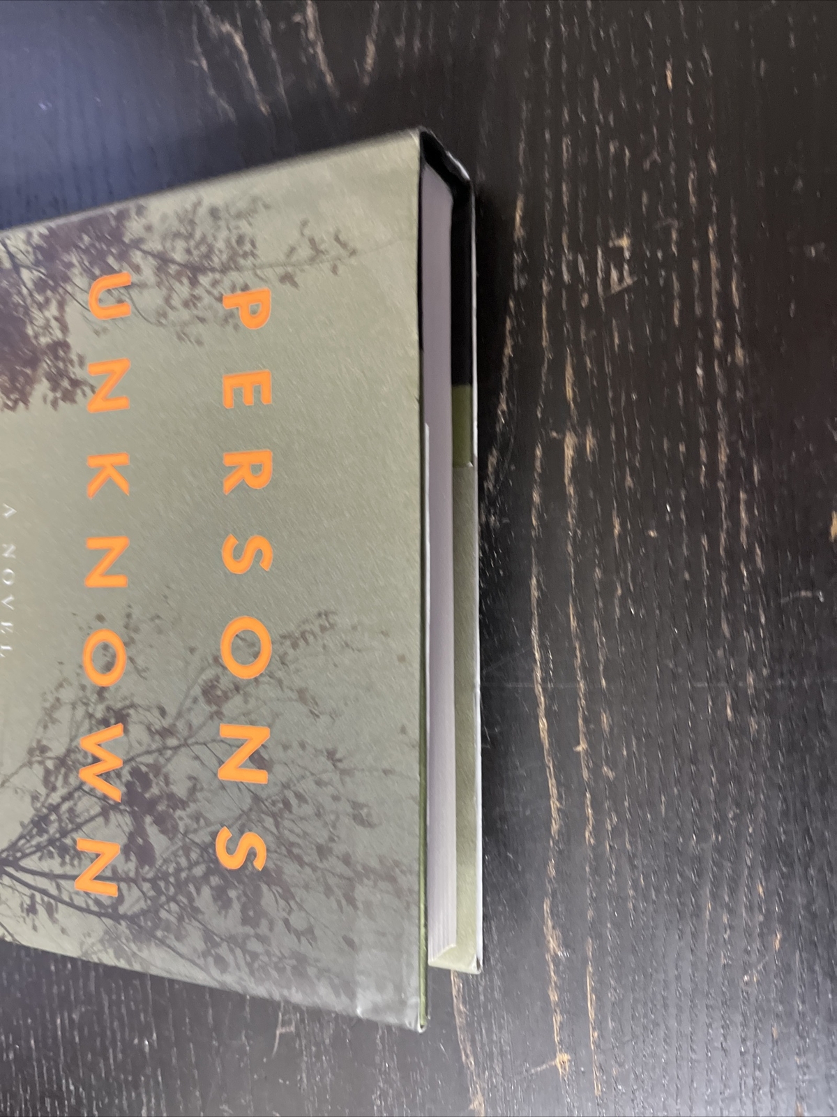 Manon Bradshaw Ser.: Persons Unknown : A Novel by Susie Steiner (2017,…