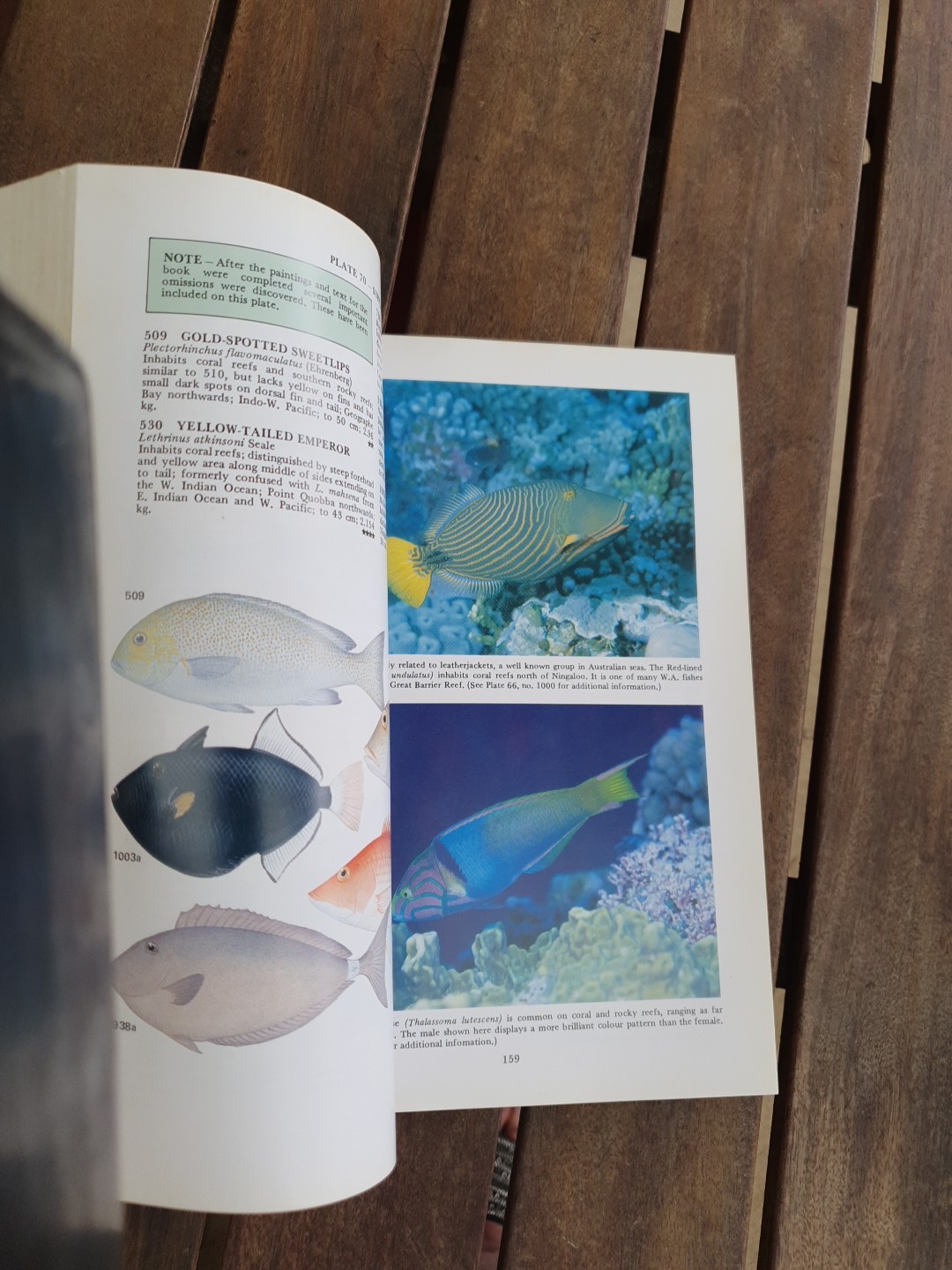 Marine Fishes of North-Western Australia Gerald R Allen 1988 Superior Plates