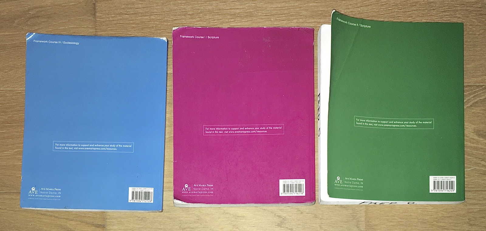 Lot: 4 Ave Maria Press Encountering Jesus Series Books