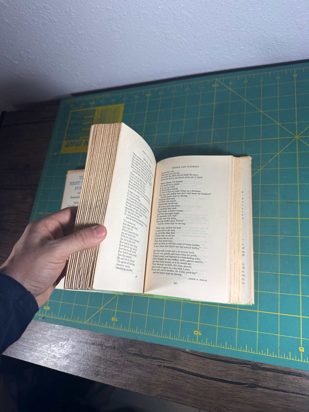 Best Loved Poems of the American People Hardcover Hazel Felleman