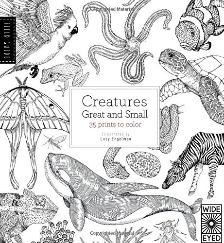 Field Guide: Creatures Great and Small: 35 prints to color, Engelman, Lucy,Davie