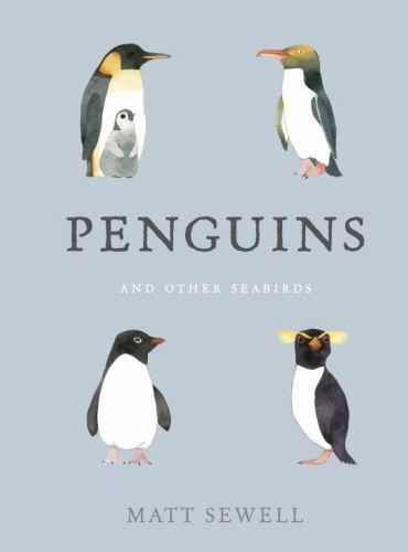 Penguins and Other Seabirds by Matt Sewell (2016, Hardcover)