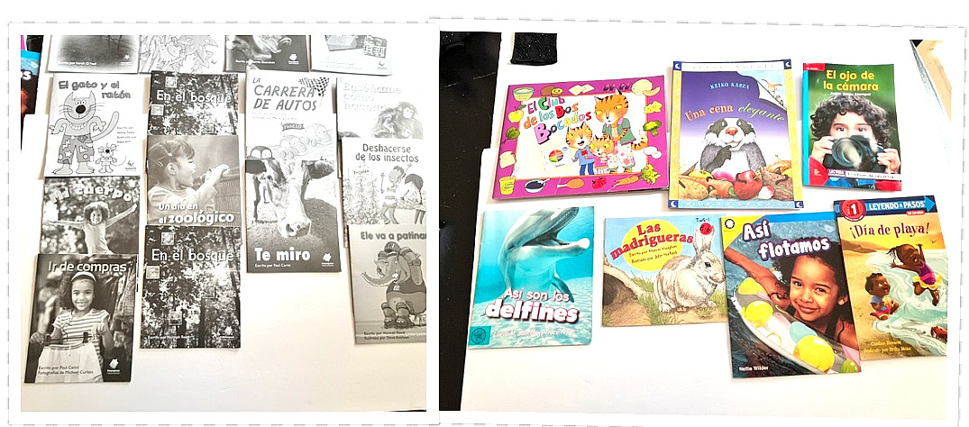 Lot of 22 Spanish Language Books for Young Readers Paperbacks REVIEW photos