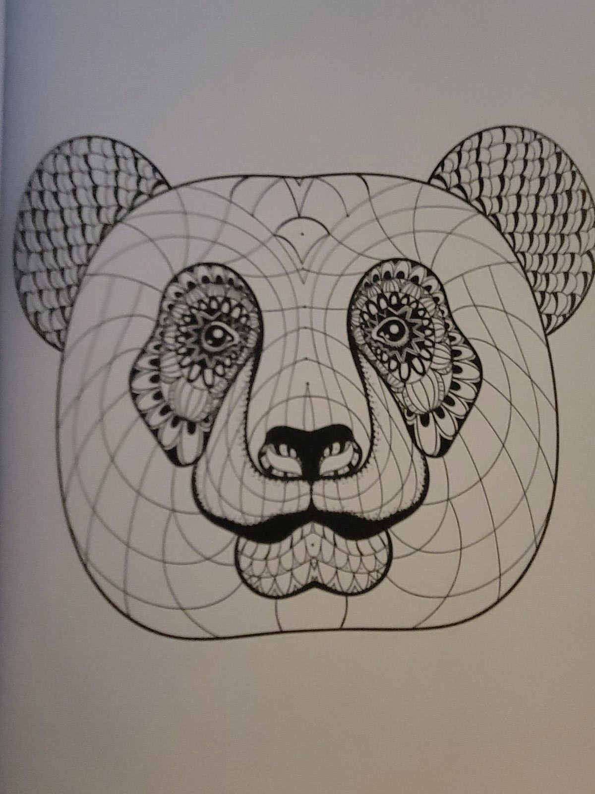 COLORS OF THE WILD Vol. 19 Adult Coloring Book With 47 Prints Ready To Frame!