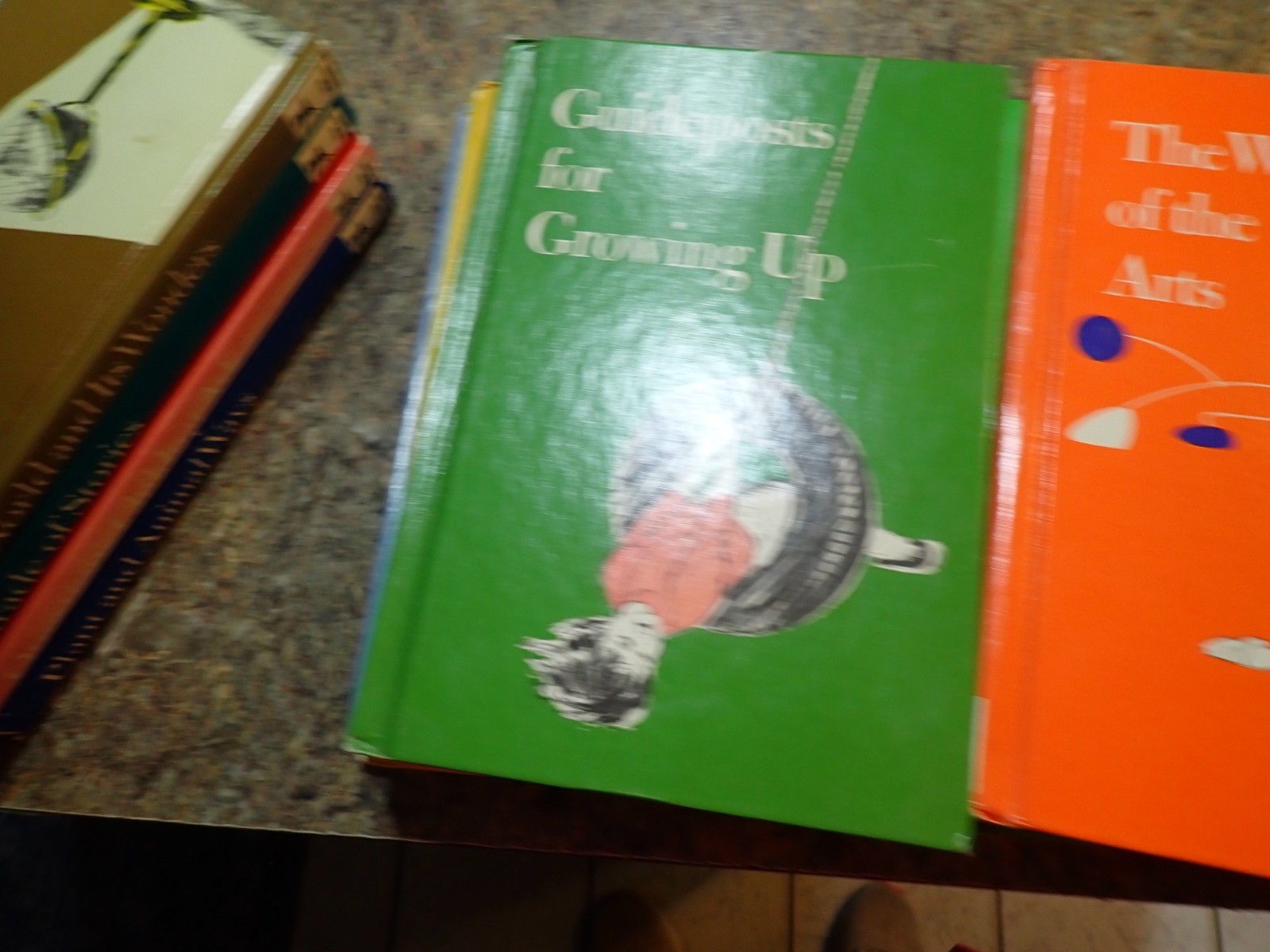 Vintage Child Horizons Set Of 10 hardcover Books Homeschool