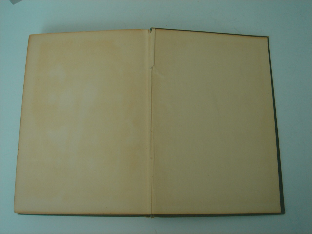 California Garden Flowers by Edward Wickson 1923 Second Edition 255 Pages