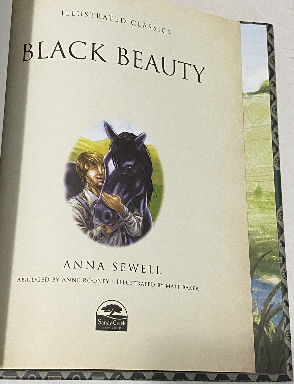 Black Beauty Illustrated Classic by Anna Sewell, Anne Rooney