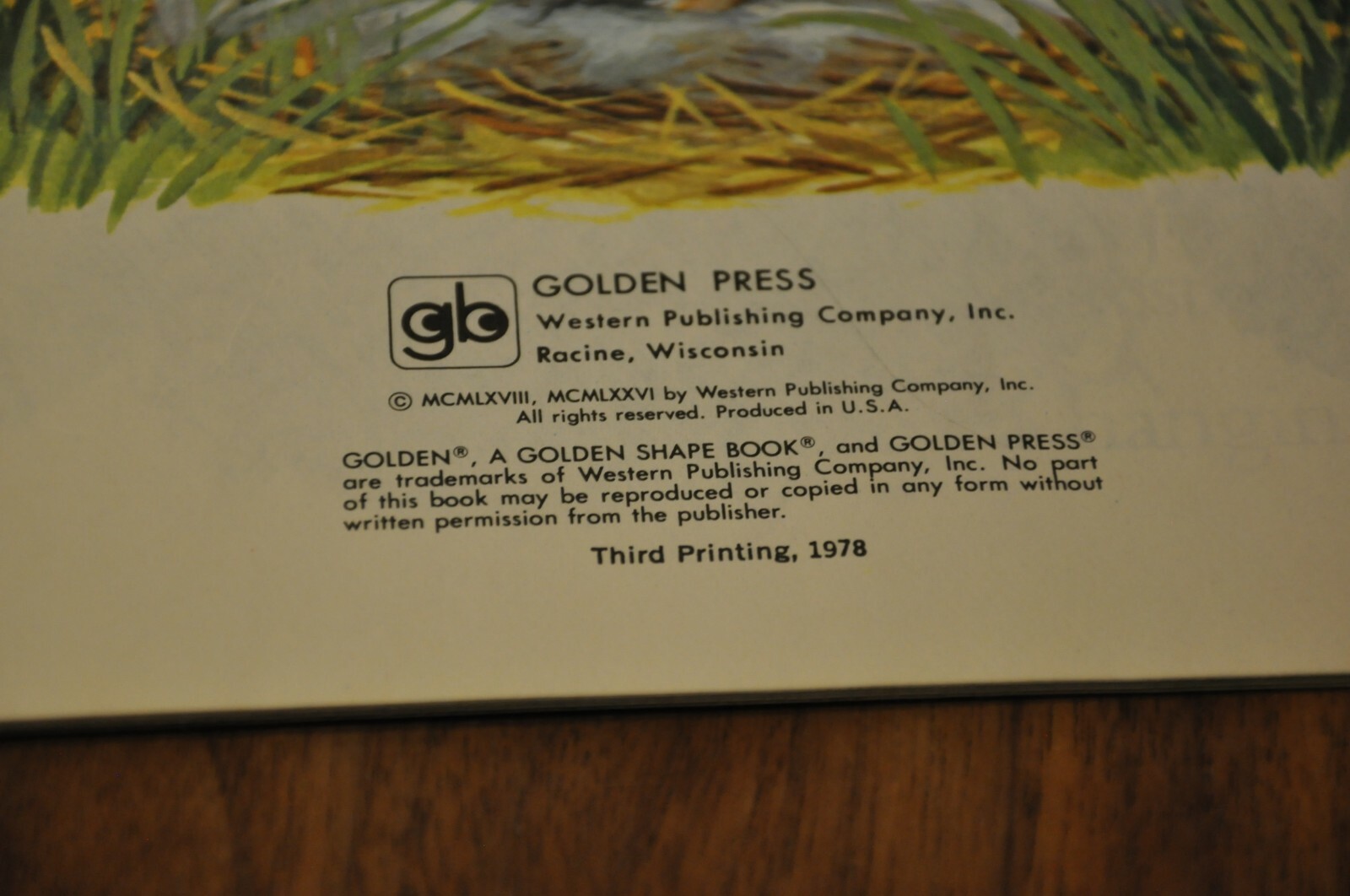 1978 The Home is the Best Children’s Kids Book Golden Press USA Rabbits Vintage