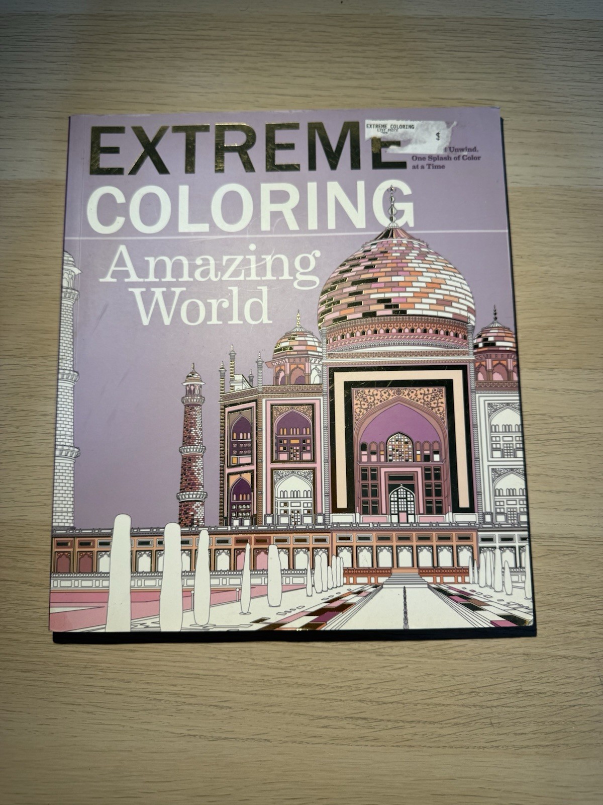 BES Publishing Extreme Coloring Amazing World Beverly Lawson Paperback 2016 Ext…